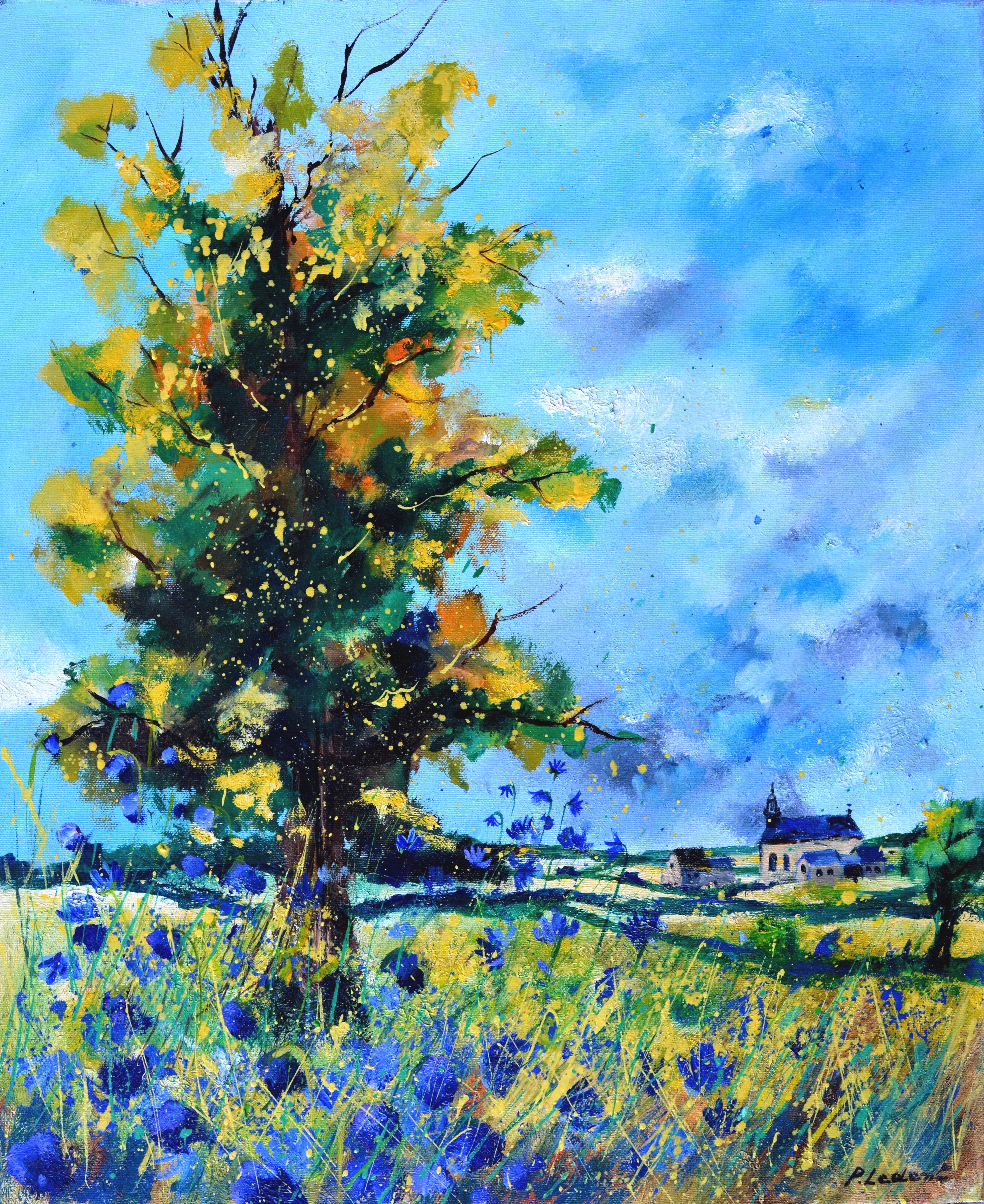 An oak in summer
